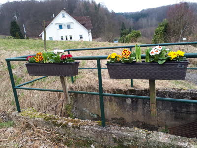 IMG-20191209-WA0003