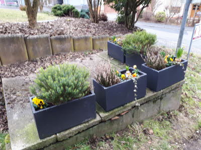 IMG-20191209-WA0005