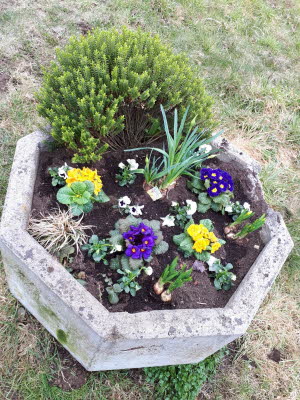 IMG-20191209-WA0010
